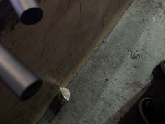 -华熙生物·润百颜ECM中心