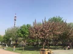 -唐城墙遗址公园