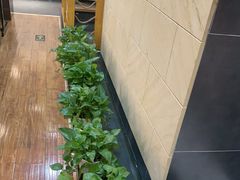 -黑松白鹿(金融街店)