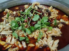 沸腾鱼-蜀膳坊(洪公祠小区店)