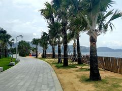 -大梅沙海滨公园
