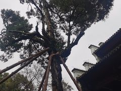 -白鹭洲书院