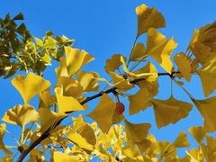 -鹫峰国家森林公园