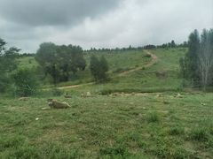 -鄂尔多斯野生动物园