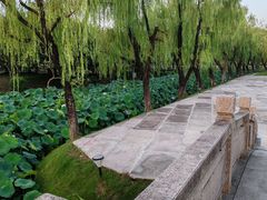 -上海大学(宝山校区)