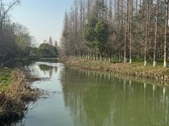 -南湖湿地公园