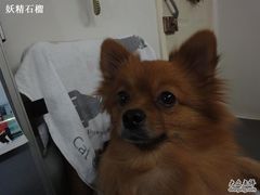 -A+摄影