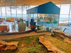 -Seesaw Coffee(朝阳大悦城店)