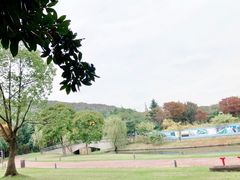 -上海佘山世茂艾美酒店