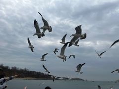 -银沙滩浴场