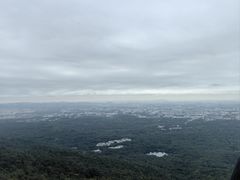 -紫金山山顶公园
