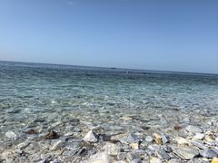 -养马岛旅游度假区