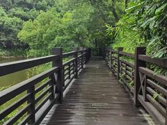 -白马涧龙池景区