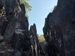 -玉石林风景区