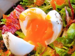-Hatsune隐泉日式料理(三里屯太古里店)