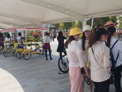 -菊园百果园