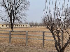 -北京群众马术培训基地