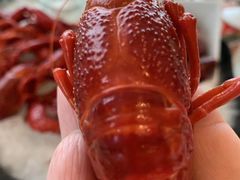 -0574龙虾的故事(东裕店)