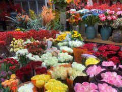 -双季花艺园艺市场(浦东店)