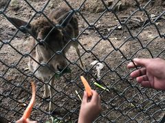 -西安秦岭野生动物园