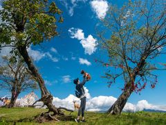 -硗碛藏寨·神木垒景区