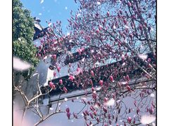 -同里景区古镇游客中心