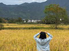-塔川景区