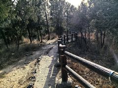 -北京十三陵国家森林公园蟒山景区