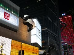 -蜀九香火锅(彩虹店)