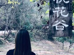 -中山市树木园