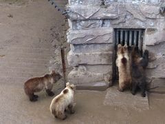 -哈尔滨北方森林动物园