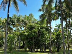 -中国科学院西双版纳热带植物园