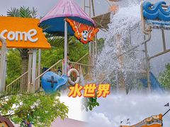 -美的鹭湖探索王国