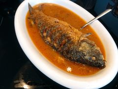 红烧黄河大鲤鱼-阿庄新豫菜(通泰路店)