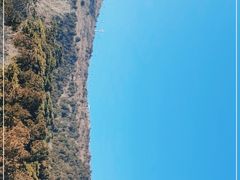 -香山公园