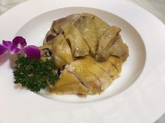 -海江5号