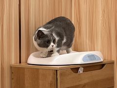 -贝来恩24H动物医院·转诊中心(稻香路店)