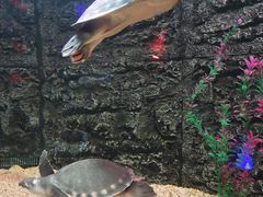 -长春中泰海洋世界