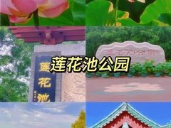 -白洋淀景区
