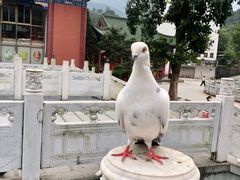 -六祖寺