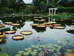 -国家植物园南园