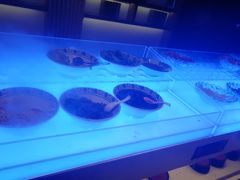 -东方之珠洗浴休闲广场(南开店)