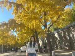 -一坐一忘云南菜(三里屯店)