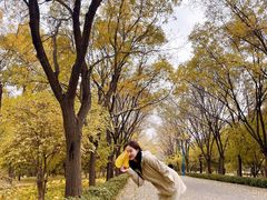 -森林公园(尖草坪区)