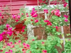 -故乡缘·香格里拉山庄(冷竹路店)