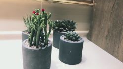 前台-Lumiere hair 路米日系美发