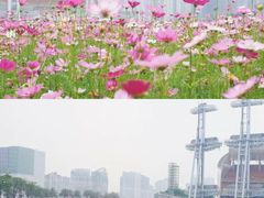 -海心沙亚运公园