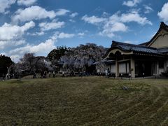 -醍醐寺
