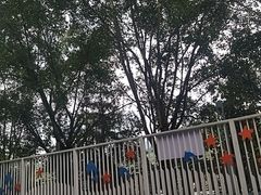 -孔雀湖生态旅游区