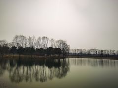 -大兴滨河森林公园